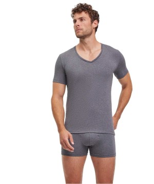 Koszula Z Krótkim Rękawem Falke 2-Pack T-Shirt V-neck Daily Comfort Męskie Szare | HISDQA-167