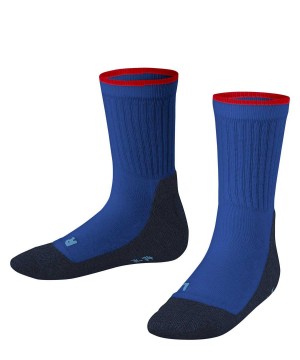 Skarpetki Falke Active Everyday Socks Dziecięce Niebieskie | UOCFNW-752