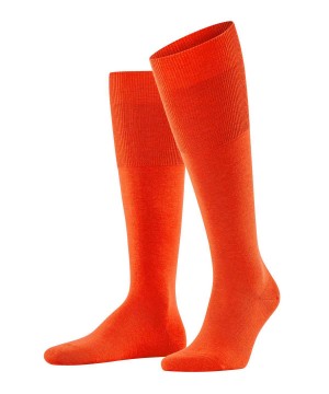 Skarpetki Falke Airport Knee-high Socks Męskie Pomarańczowe | OPYFAW-763