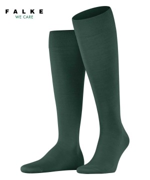 Skarpetki Falke ClimaWool Knee-high Socks Męskie Zielone | UTGPJR-450