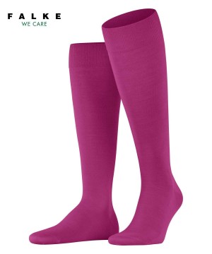 Skarpetki Falke ClimaWool Knee-high Socks Męskie Czerwone | JYVNBS-137