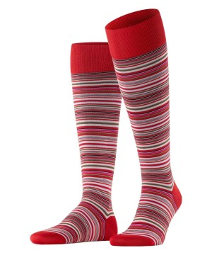 Skarpetki Falke Microblock Knee-high Socks Męskie Czerwone | FILSER-287