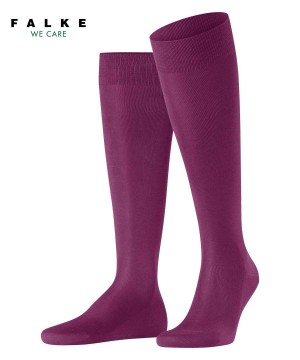 Skarpetki Falke Tiago Knee-high Socks Męskie Fioletowe | CSIOYH-256