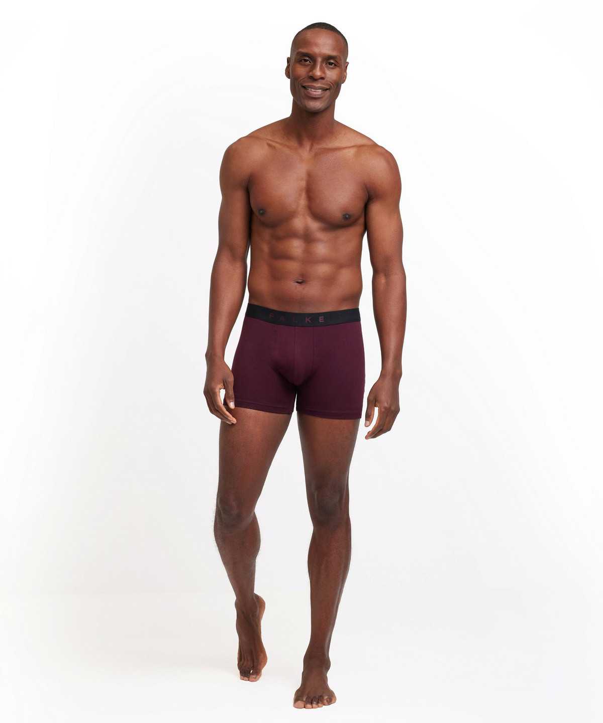 Boxer & Slips Falke 2-Pack Boxer Daily Comfort Męskie Multicolored | LBNMWC-308