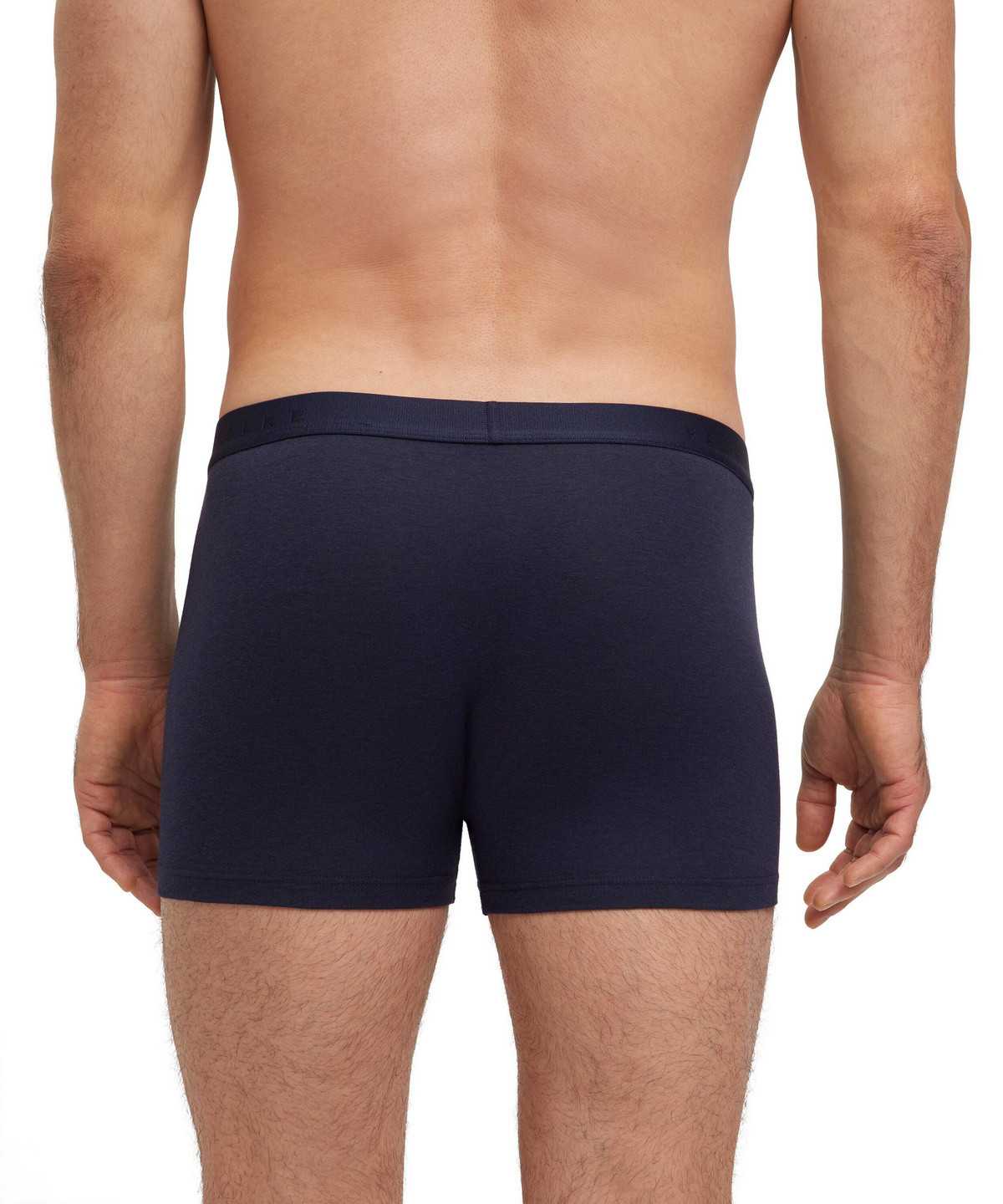 Boxer & Slips Falke Boxer Daily Climate Control Męskie Szare | FXLKNV-604