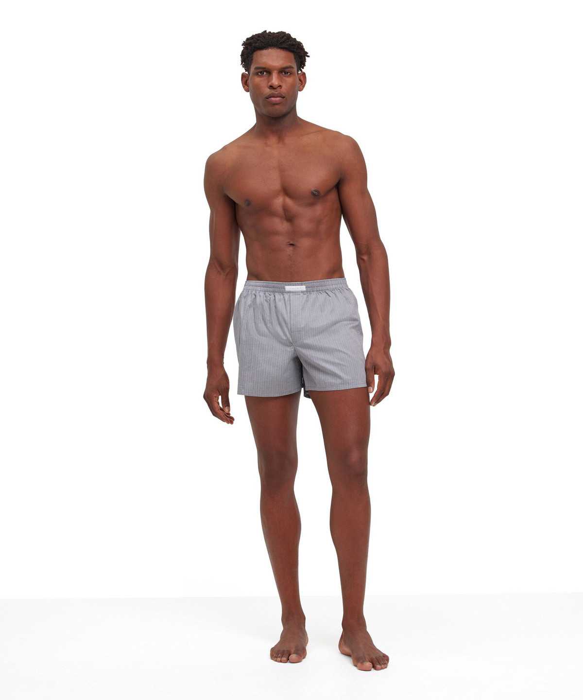 Boxer & Slips Falke Boxer Męskie Szare | FIJNTK-567