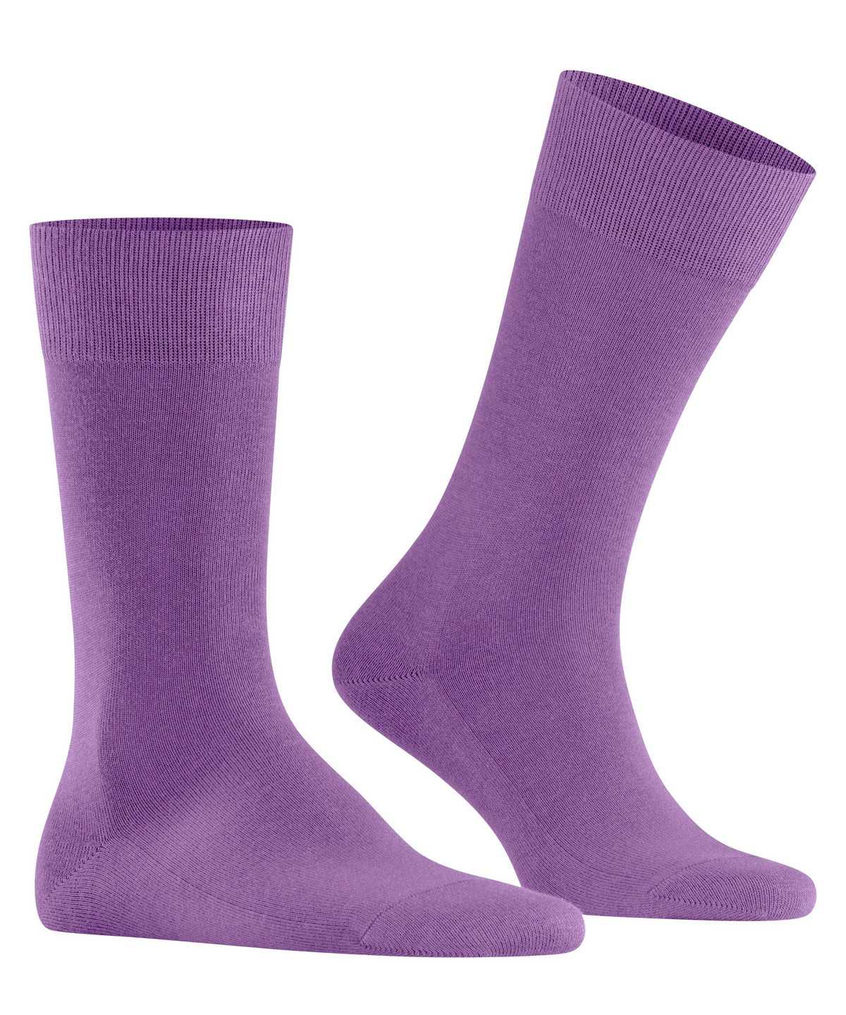 Skarpetki Falke Family Socks Męskie Fioletowe | VILCDT-768