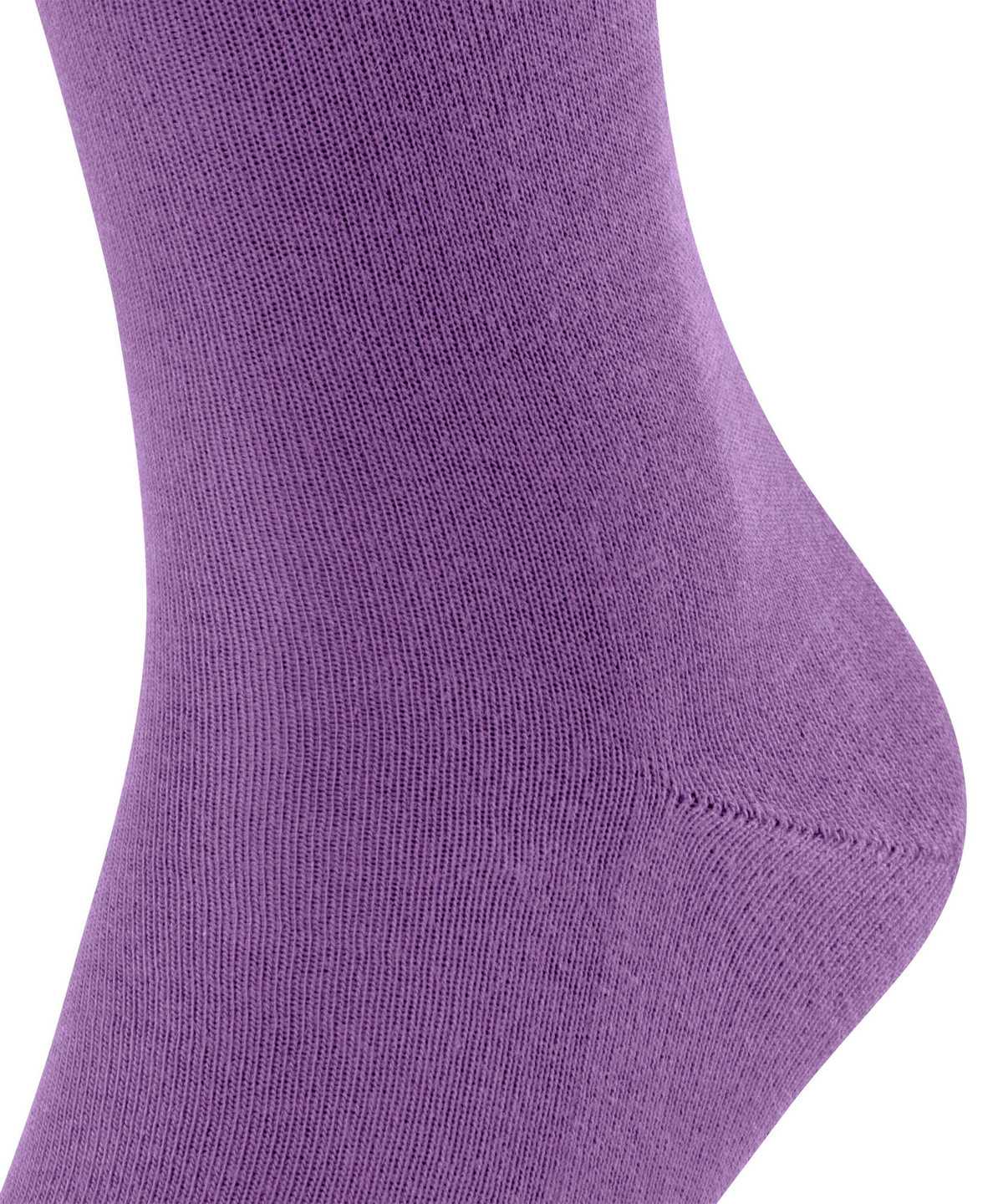 Skarpetki Falke Family Socks Męskie Fioletowe | VILCDT-768