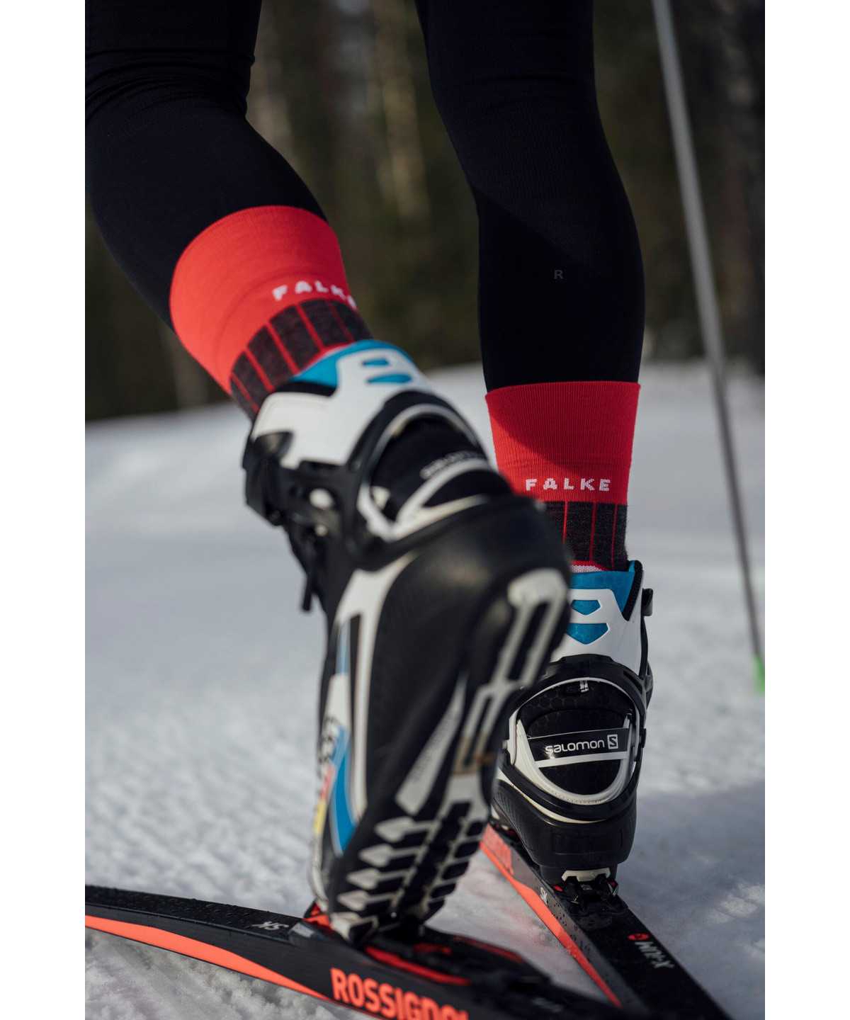 Skarpetki Falke SC1 Skiing Socks Męskie Czerwone | MOSLGQ-531