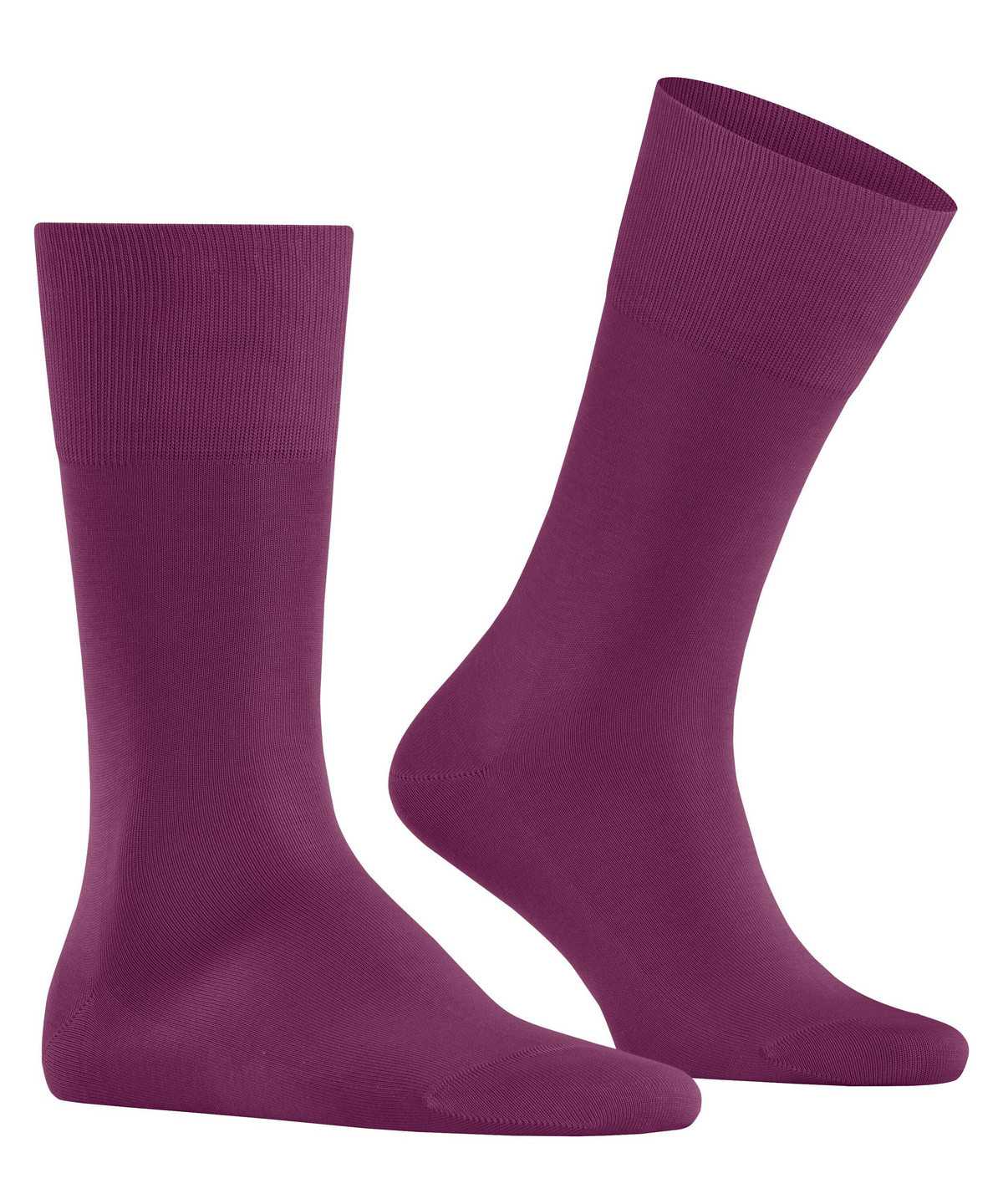 Skarpetki Falke Tiago Socks Męskie Fioletowe | KHPBNM-023